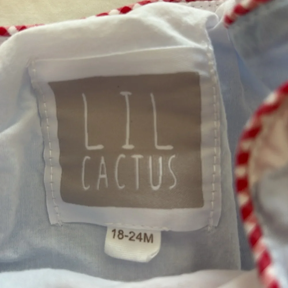 Lil Cactus cutest lil